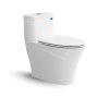 Bàn cầu một khối V829