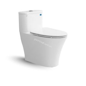 Bàn cầu một khối V829
