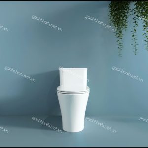 Bàn cầu một khối V829