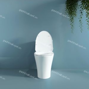 Bàn cầu một khối V829