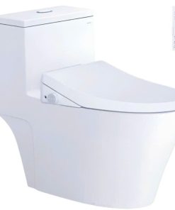 Bàn cầu một khối nắp cơ CAESAR mã C1356F+TAF512H