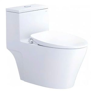 Bàn cầu một khối nắp cơ CAESAR mã C1356G+TAF060