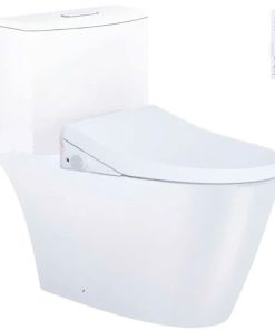 Bàn cầu một khối nắp cơ CAESAR mã C1363F+TAF512H