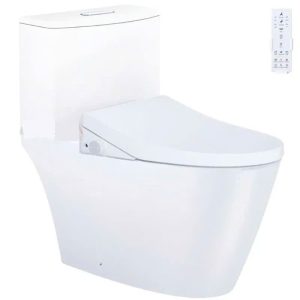 Bàn cầu một khối nắp cơ CAESAR mã C1363F+TAF512H