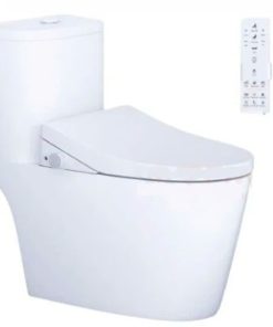 Bàn cầu một khối nắp cơ CAESAR mã C1364F+TAF512H