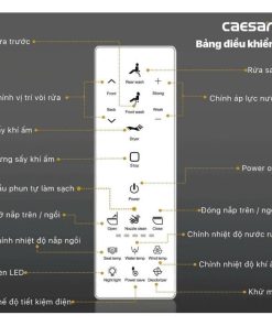 Bàn cầu một khối nắp cơ CAESAR mã C1364F+TAF512H