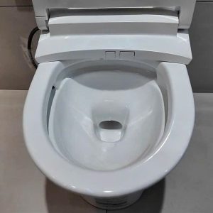 Bàn cầu một khối nắp điện tử CAESAR mã C1391F + TAF710H