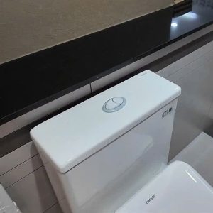 Bàn cầu một khối nắp điện tử CAESAR mã C1391F + TAF710H