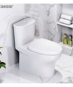 Bàn cầu một khối nắp đóng êm CAESAR mã C1394