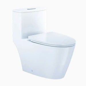Bàn cầu một khối nắp êm CAESAR mã C1363