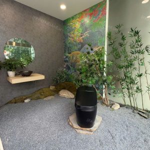 Bàn cầu thông minh INAX mã AC-G216VN