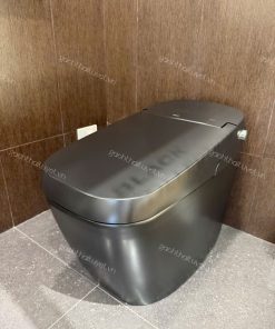 Bàn cầu thông minh INAX mã AC-G216VN