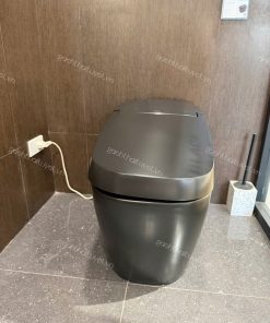 Bàn cầu thông minh INAX mã AC-G216VN