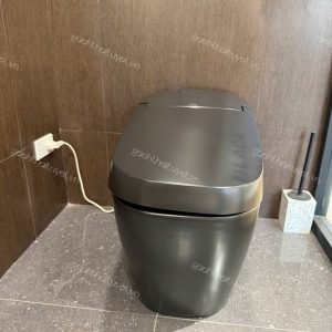 Bàn cầu thông minh INAX mã AC-G216VN