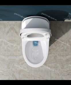 Bàn cầu thông minh V91