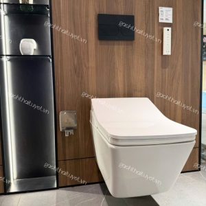 Bàn cầu treo tường Dáng vuông nắp điện tử WASHLET ToTo mã CW522EA (3)