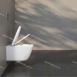 Bàn cầu treo tường V901
