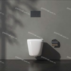 Bàn cầu treo tường V901