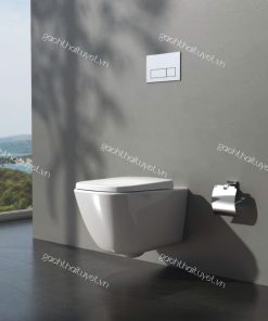Bàn cầu treo tường V901