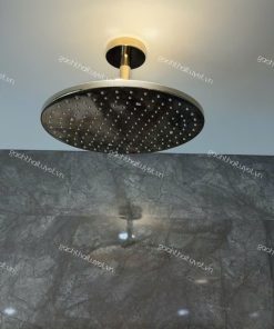 Bát sen gắn trần ToTo mã TBW07003A1