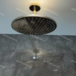 Bát sen gắn trần ToTo mã TBW07003A1