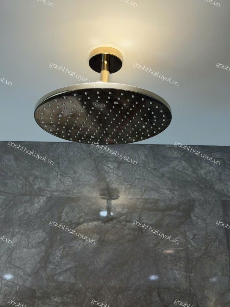 Bát sen gắn trần ToTo mã TBW07003A1