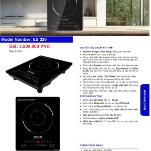 Bếp Điện Từ EUROFIRE mã ES 226