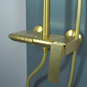 Bộ sen cây nhiệt độ A-FIVE mã A5-1539