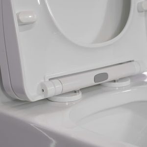 Bồn cầu 1 khối nắp đóng êm mã A5-8298