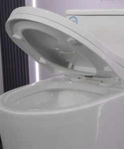 Bồn cầu 1 khối nắp đóng êm mã A5-8298