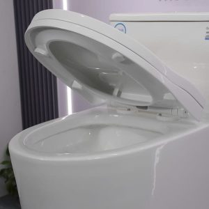 Bồn cầu 1 khối nắp đóng êm mã A5-8298