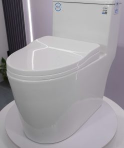 Bồn cầu 1 khối nắp đóng êm mã A5-8298