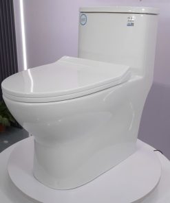 Bồn cầu 1 khối nắp đóng êm mã A5-8390
