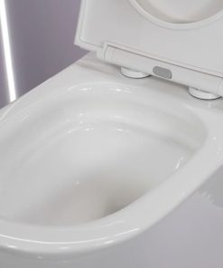Bồn cầu 1 khối nắp đóng êm mã A5-8394