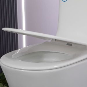 Bồn cầu 1 khối nắp đóng êm mã A5-8394