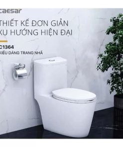 Bồn cầu 1 khối nắp êm CAESAR C1364 (3)
