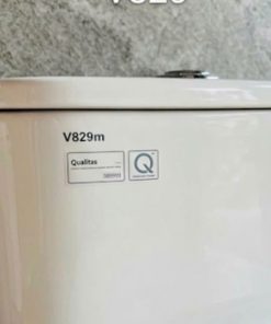 Bồn cầu Viglacera mã V829