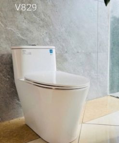Bồn cầu Viglacera mã V829 (2)