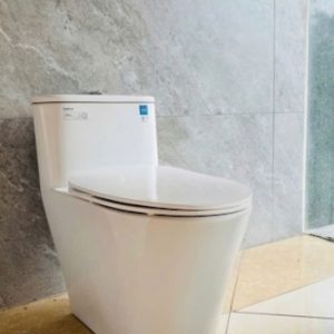 Bồn cầu Viglacera mã V829 (2)