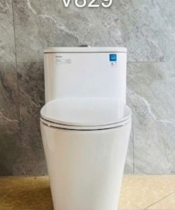 Bồn cầu Viglacera mã V829