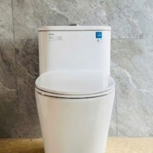 Bồn cầu Viglacera mã V829