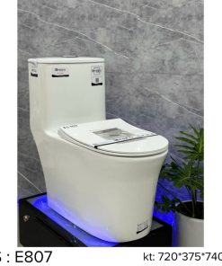 Bồn cầu liền khối EKOZXI - E807