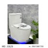 Bồn cầu liền khối EKOZXI - E829