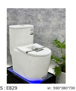 Bồn cầu liền khối EKOZXI - E829