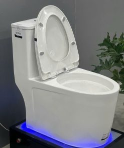 Bồn cầu liền khối EKOZXI – E823