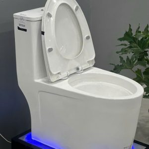 Bồn cầu liền khối EKOZXI – E823