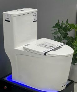 Bồn cầu liền khối EKOZXI – E823