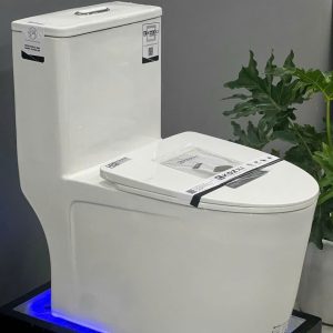 Bồn cầu liền khối EKOZXI – E823