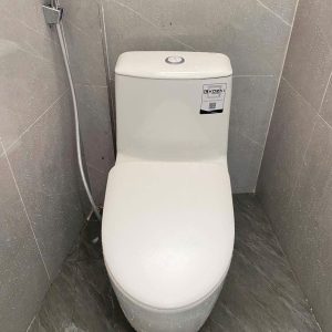 Bồn cầu liền khối EKOZXI – E828
