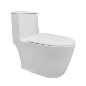 Bồn cầu liền khối EKOZXI – E828